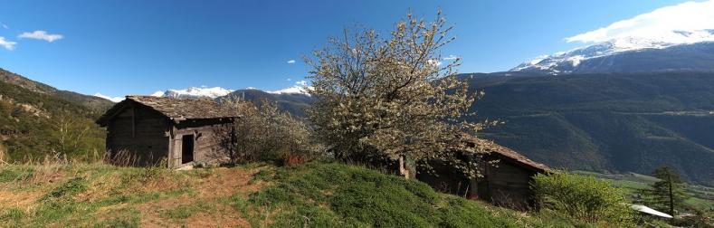 Walliserspycher im Frühling