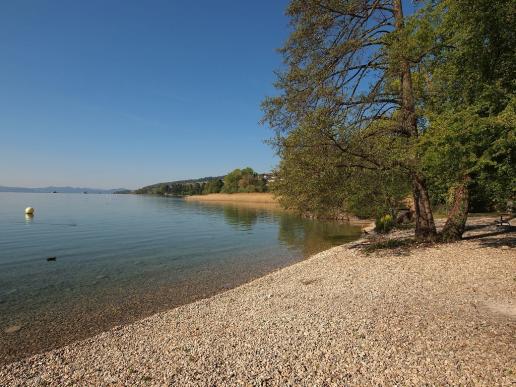 Typischer Neuenburgerseestrand