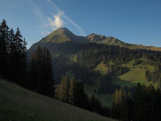 Giferspitz und Louwenehore