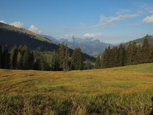 Blick Richtung Gstaad
