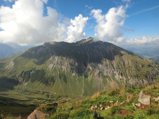 Giferspitz und Louwenehore