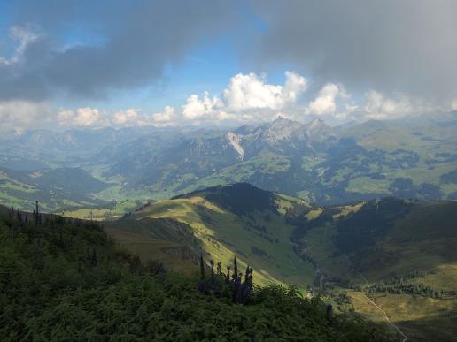 Ausblick vom Wistätthore