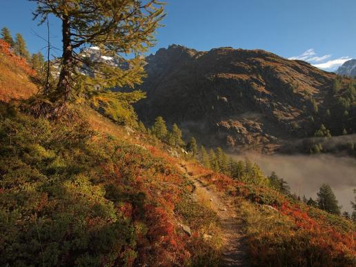 Traumhafter Herbstmorgen