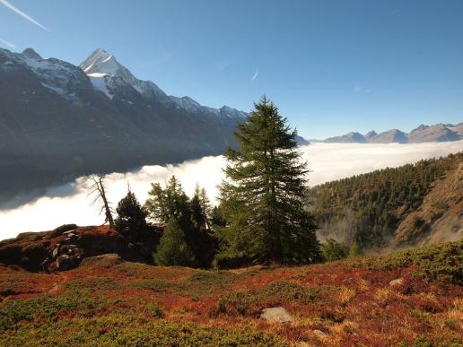 Nebelmeer über dem Lötschental