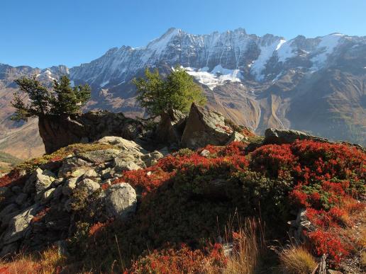 Herbstliches Lötschental