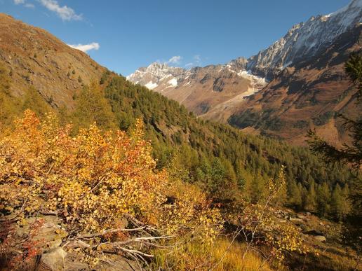 Herbst im Lötschental