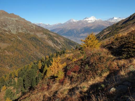 Herbst im Turtmanntal