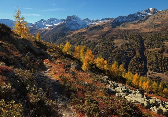 Herbstliches Turtmanntal
