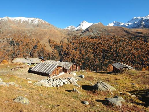 Simmigu Mittelstafe.