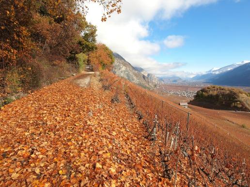 Herbstliches Unterwallis