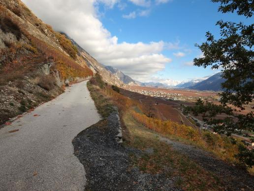 Chemin du Vignoble