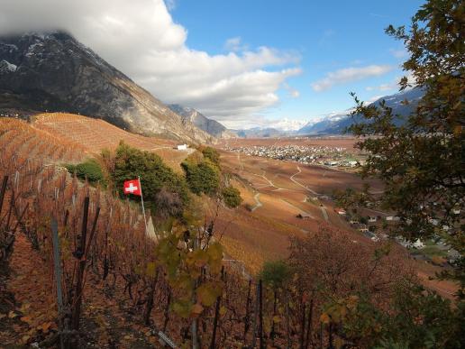 Unterwalliser Rebberge