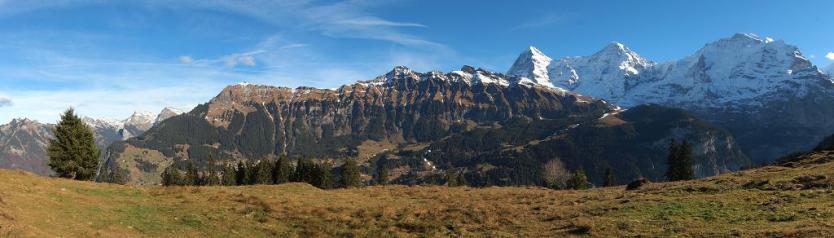 Die drei Grössen und Schönsten Berner Oberländer