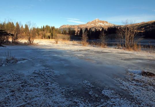 Wintermorgen am Lauenensee