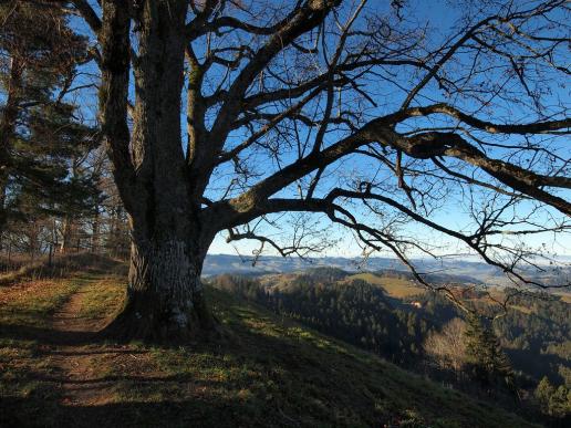 Aussichtsreiches Emmental